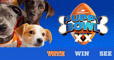 puppy bowl vote